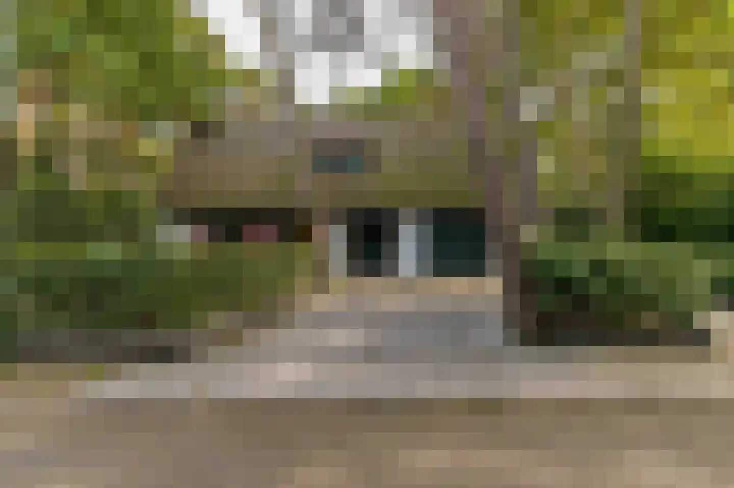 de Krosselt 23 Velden thumbnail 29