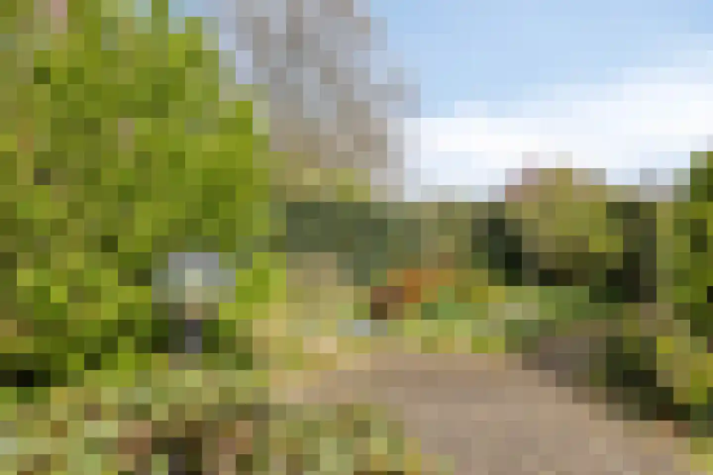 De Kruigang 22 Malden thumbnail 37
