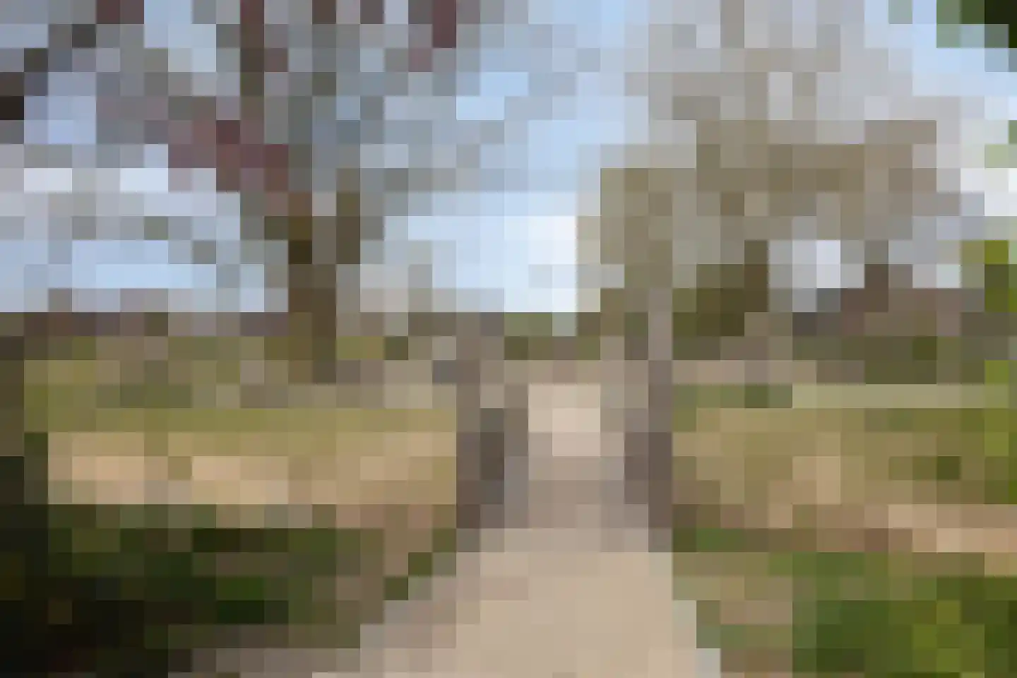 De Kruigang 22 Malden thumbnail 40