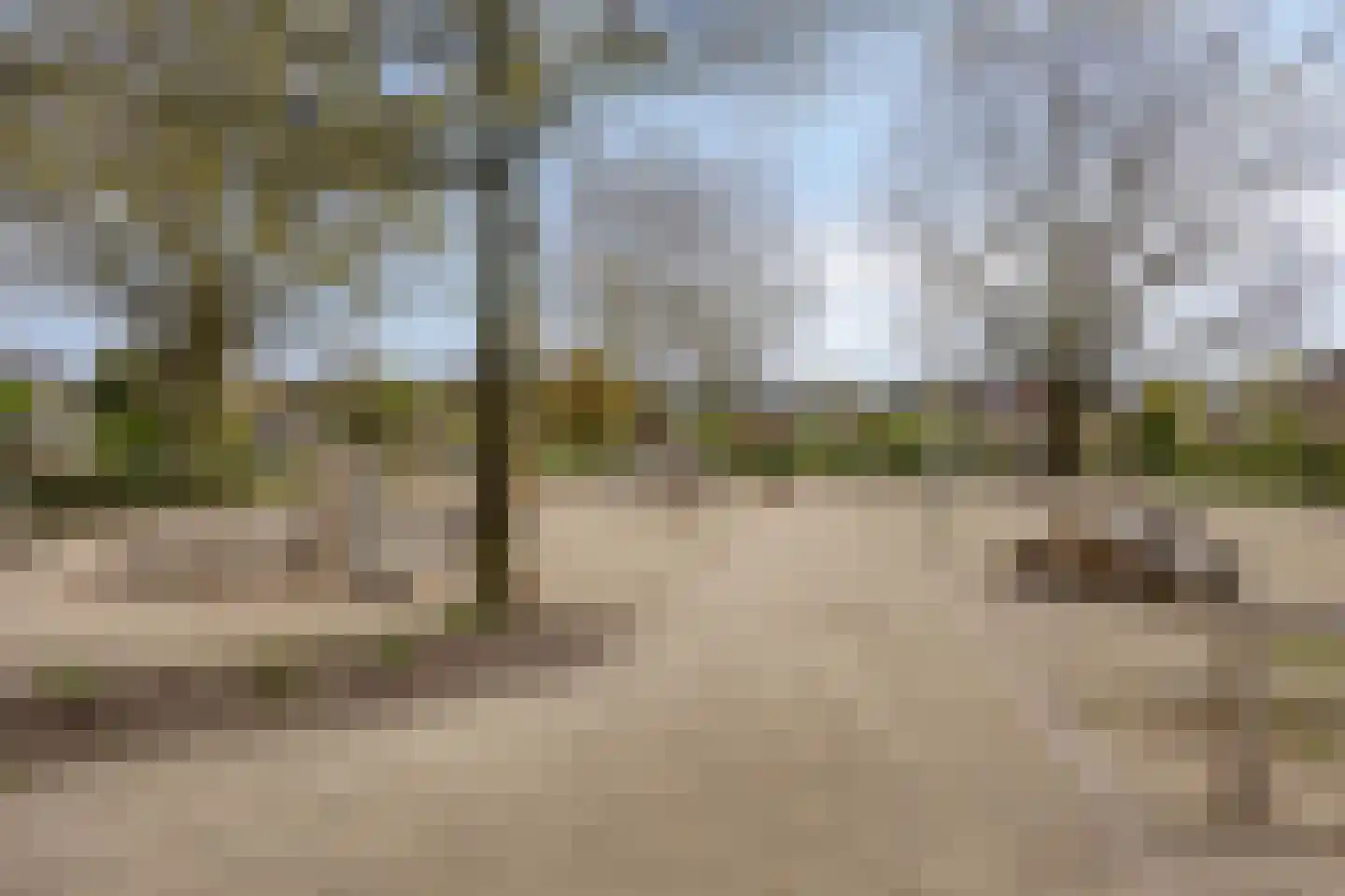 De Kruigang 22 Malden thumbnail 41