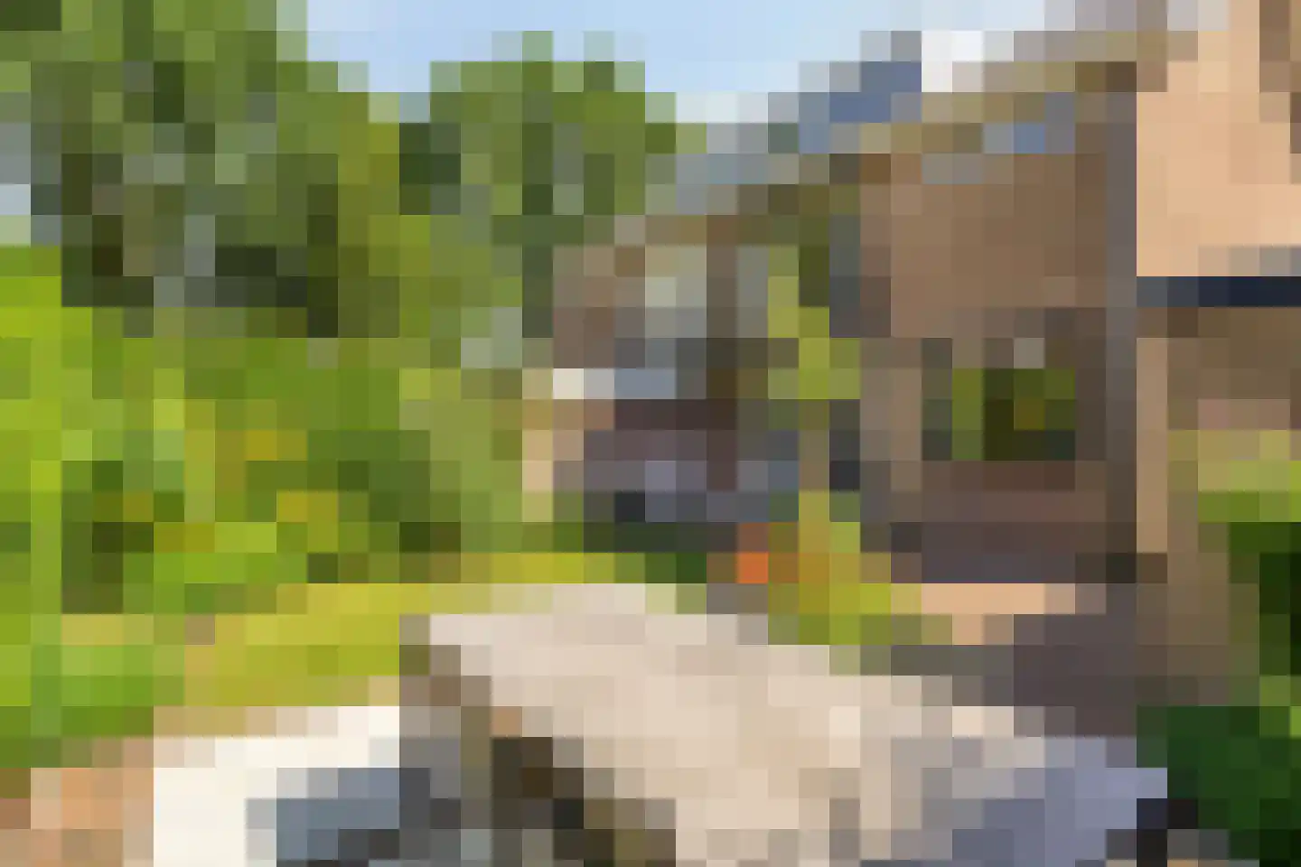 De Kruigang 40 Malden thumbnail 38