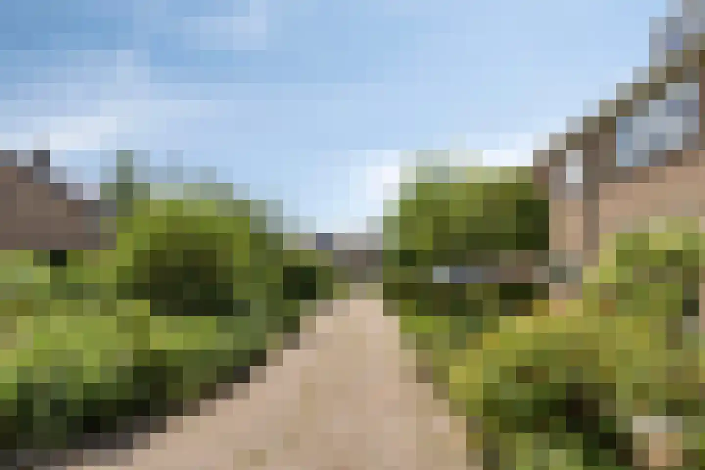 De Kruigang 40 Malden thumbnail 42