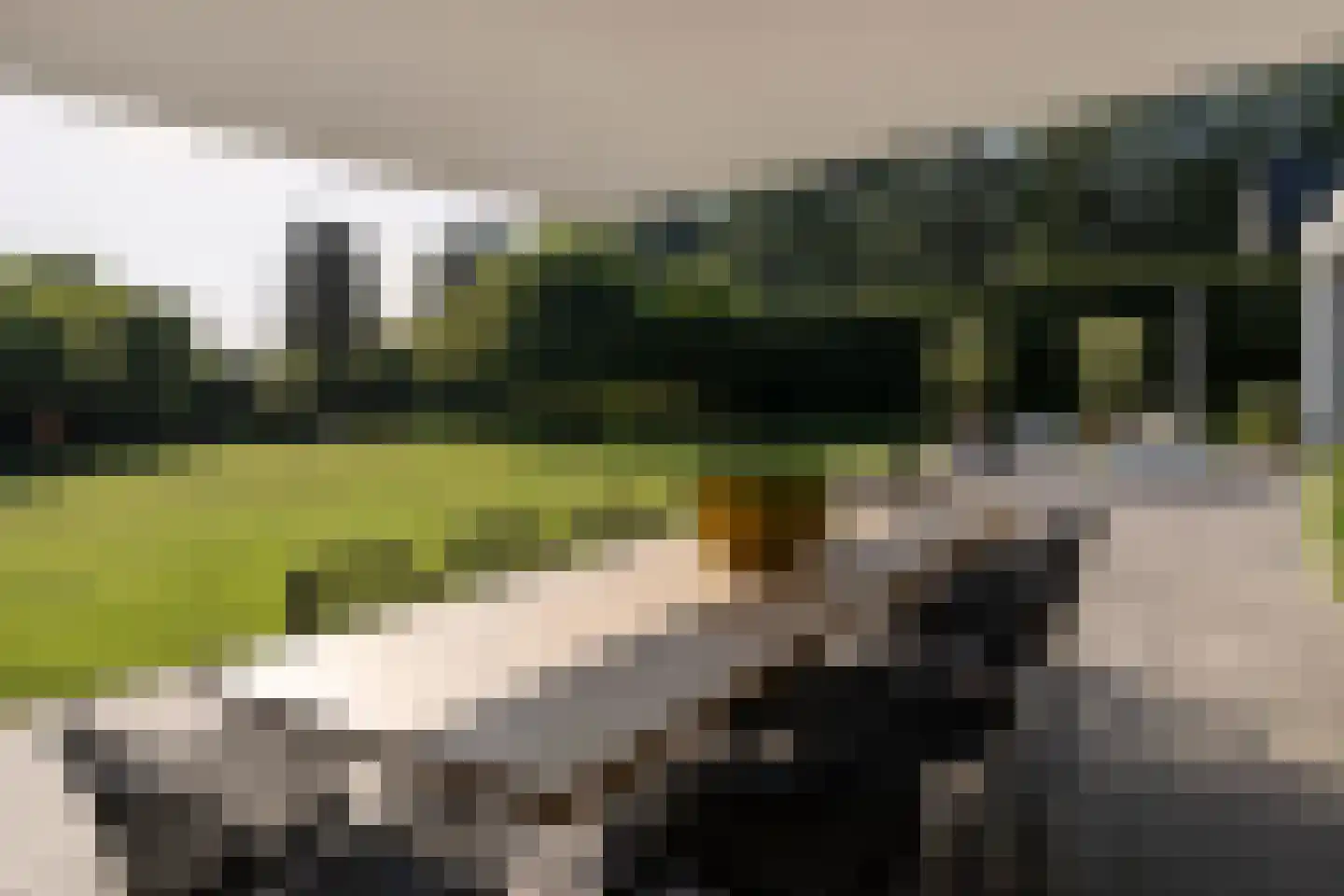 de Kruik 16 Oirschot thumbnail 5