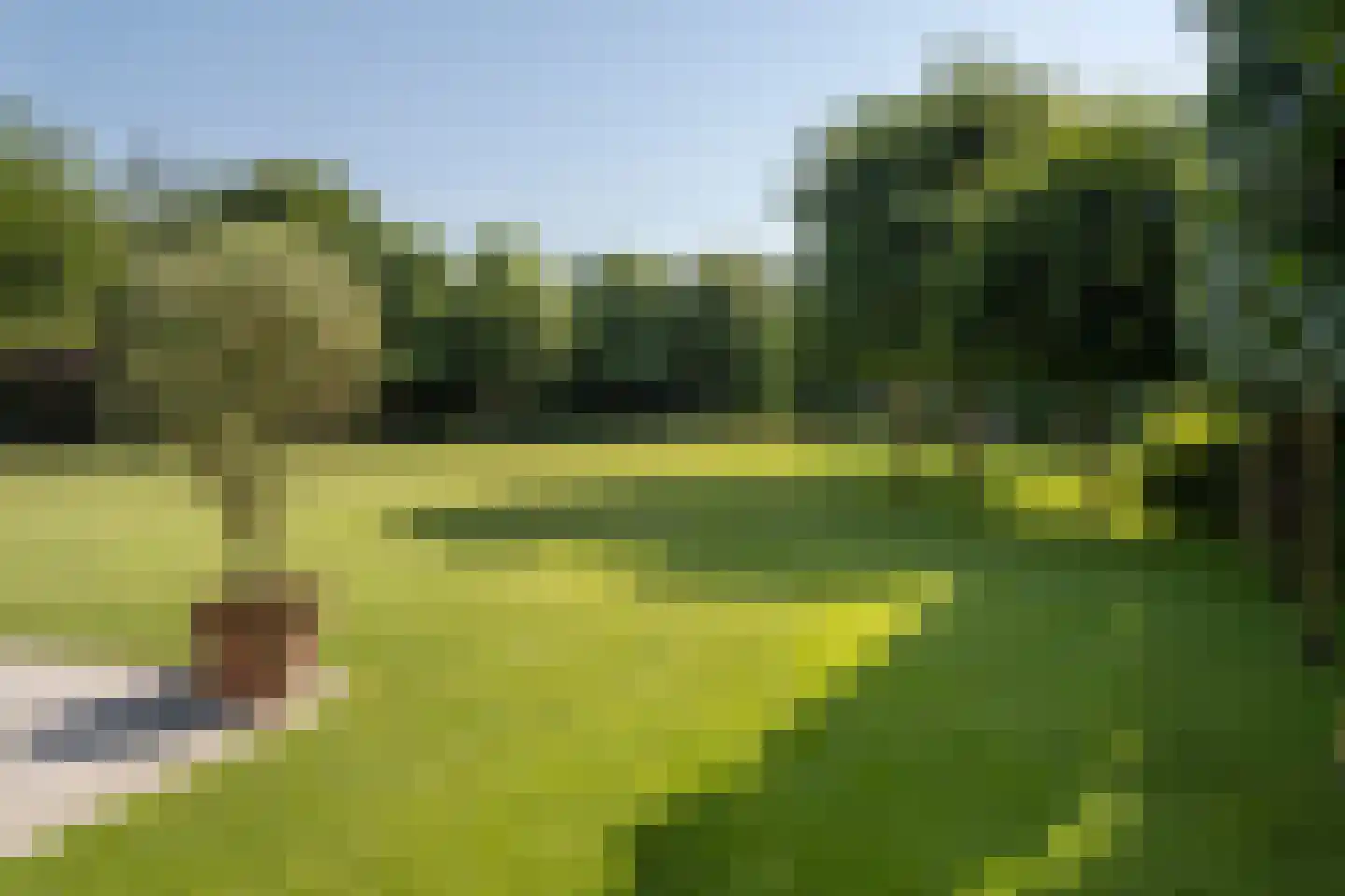 de Kruik 16 Oirschot thumbnail 6