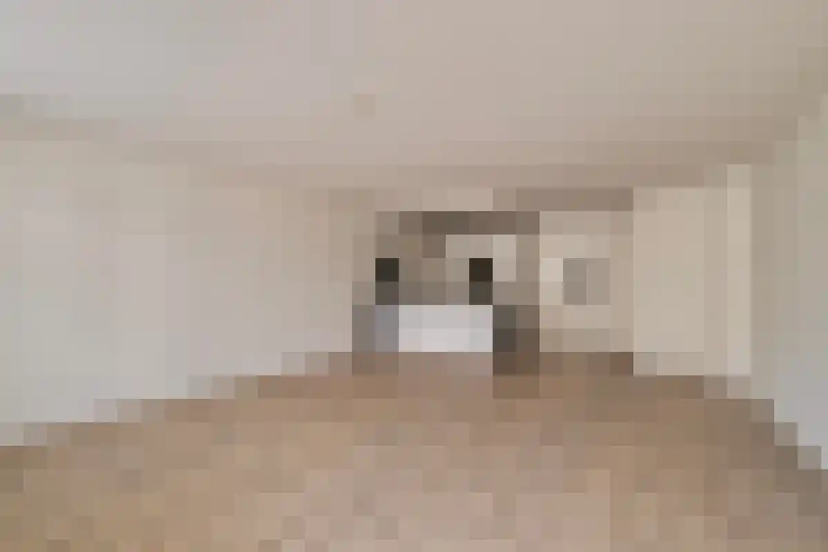 de Kruin 27 Bergschenhoek thumbnail 4