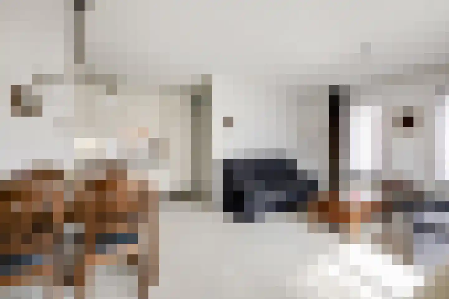 De Kruisboog 10 Duiven thumbnail 11