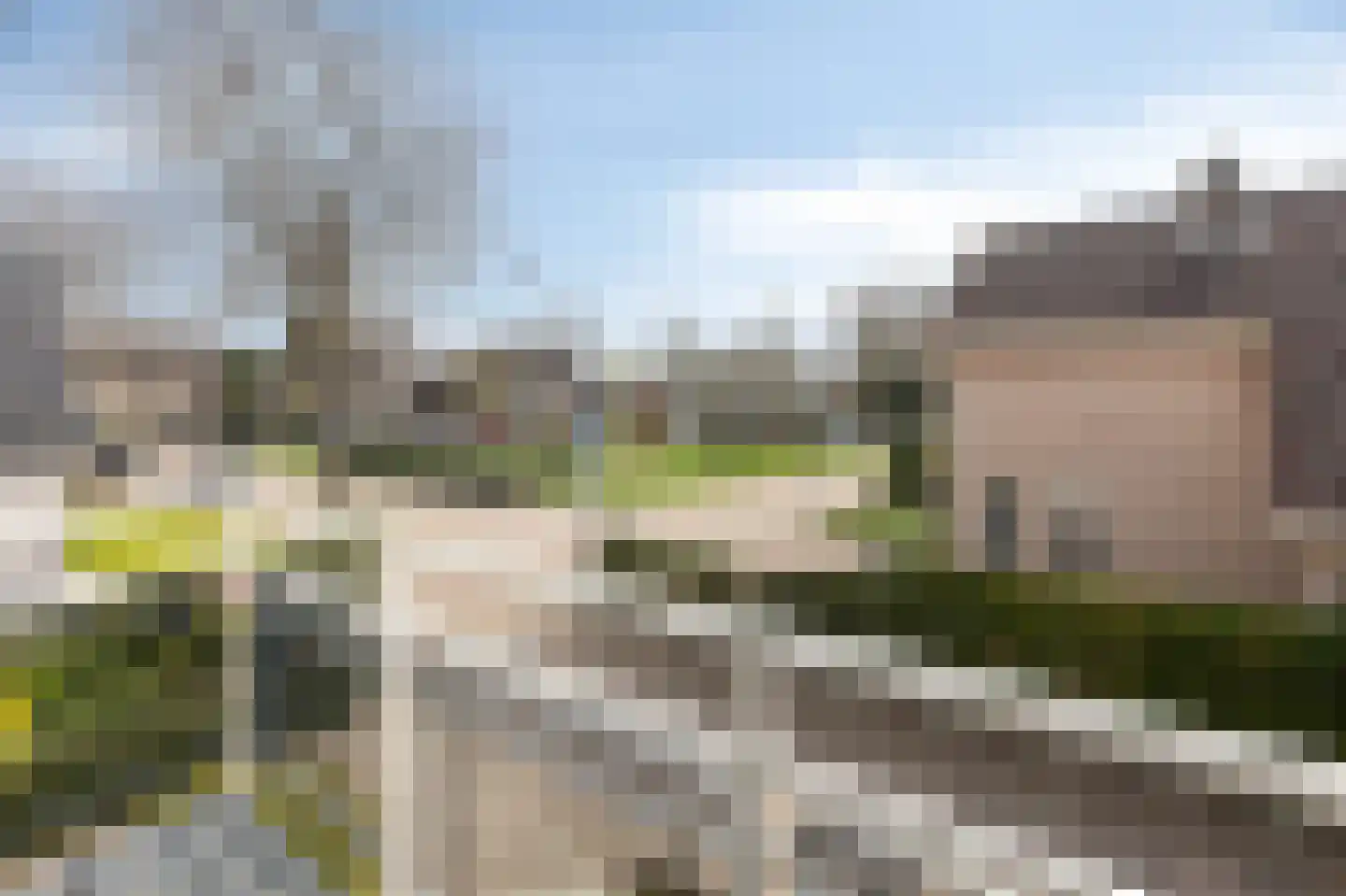 De Kruisboog 10 Duiven thumbnail 32