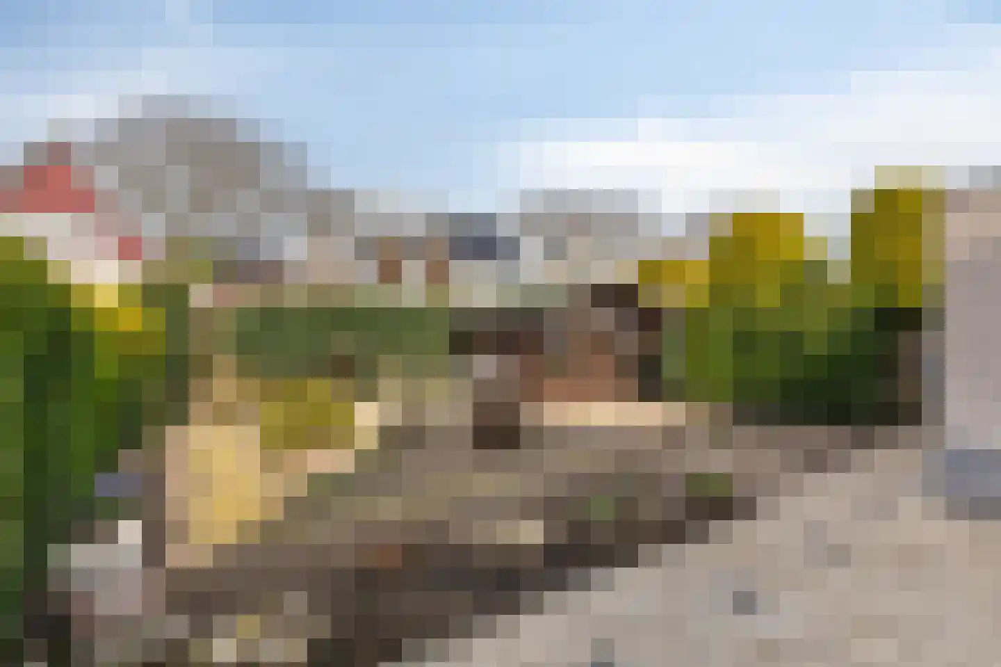 De Kruisboog 10 Duiven thumbnail 4