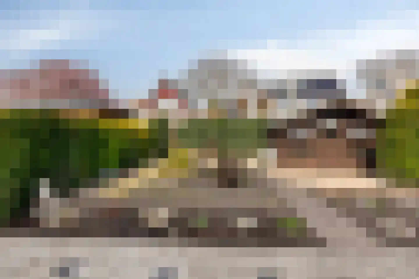 De Kruisboog 10 Duiven thumbnail 42