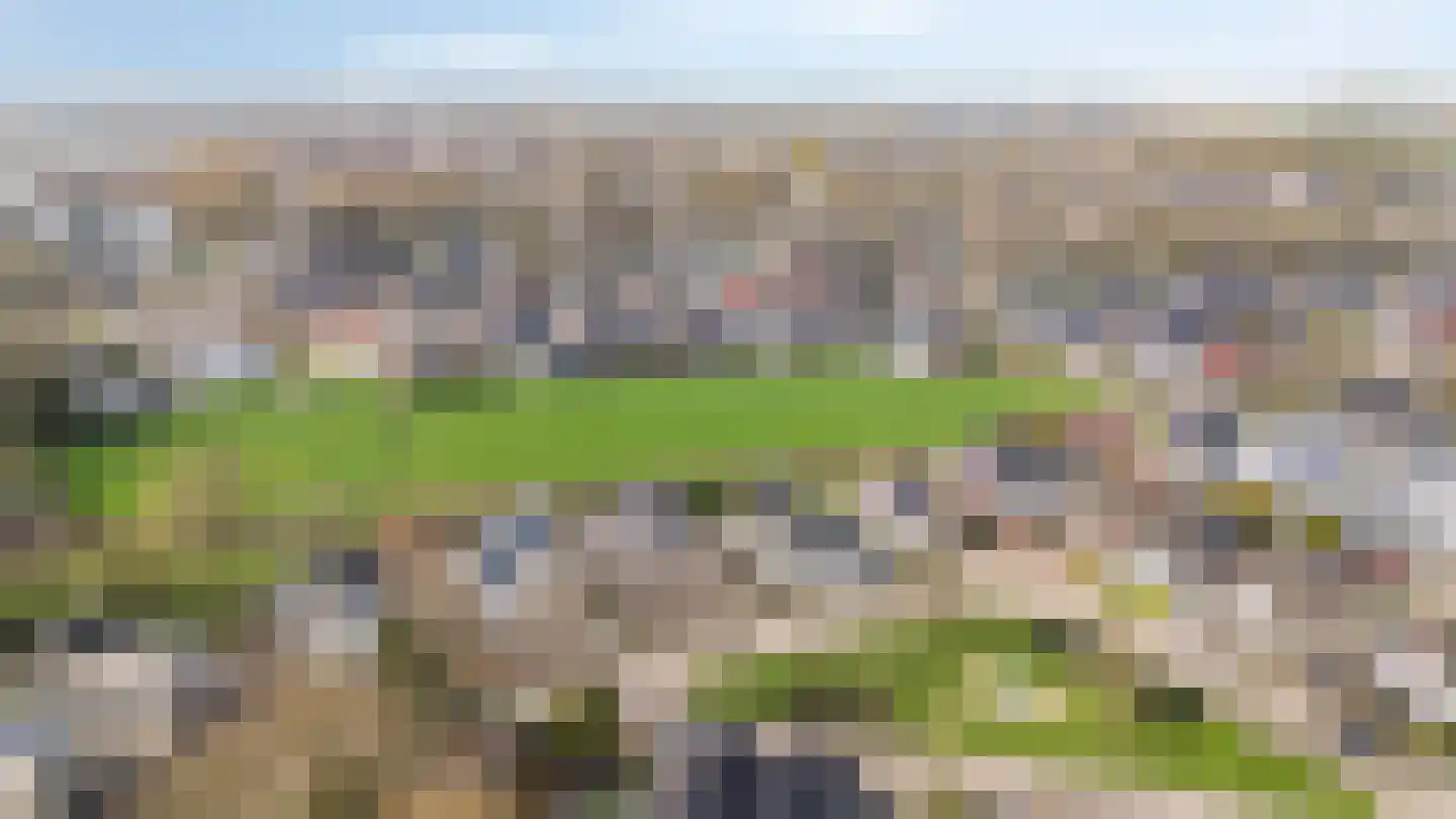 De Kruisboog 10 Duiven thumbnail 5