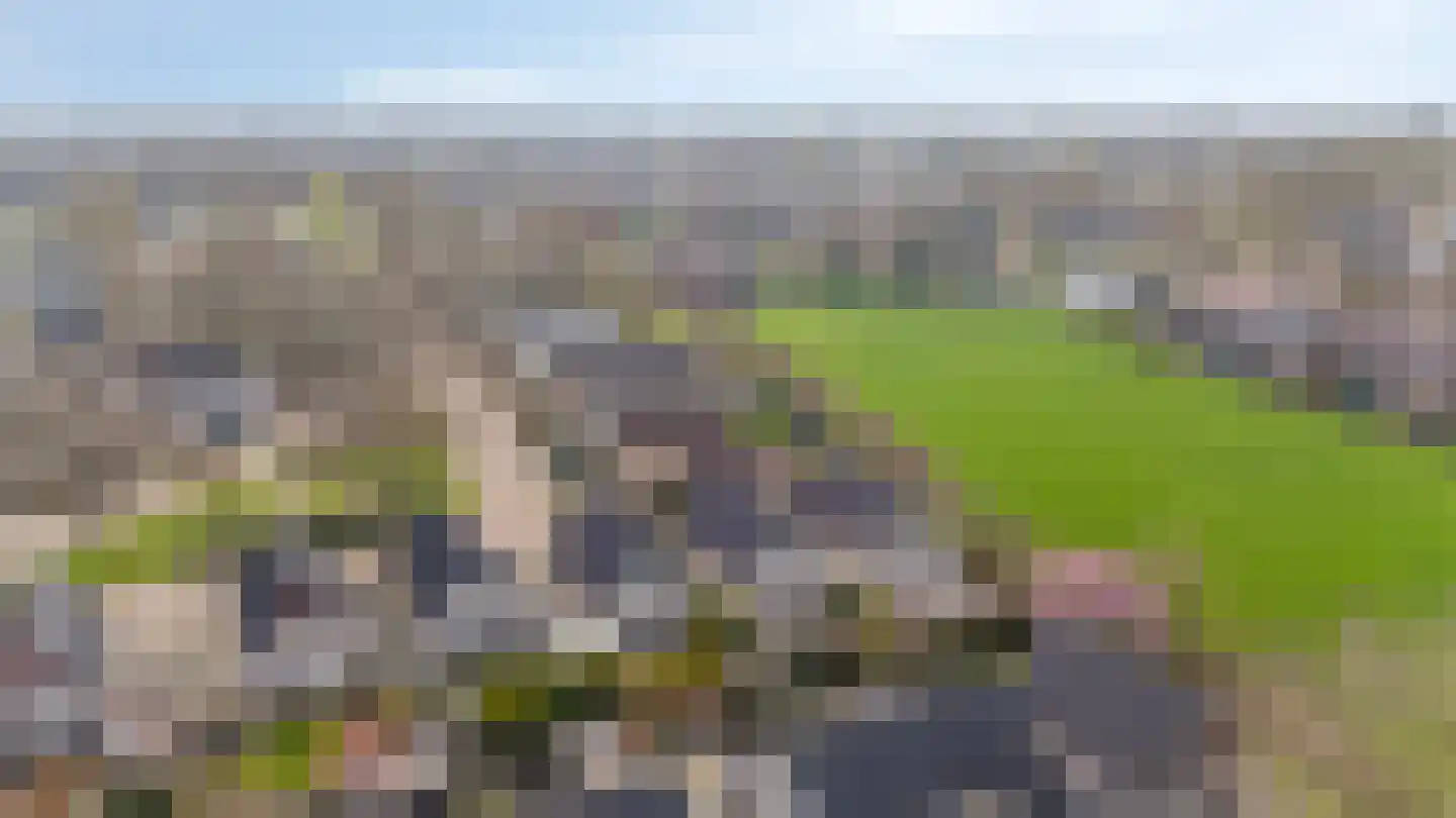 De Kruisboog 10 Duiven thumbnail 50