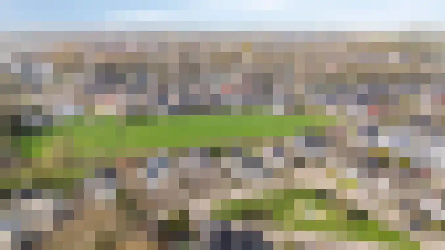 De Kruisboog 10 Duiven thumbnail 51