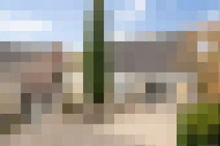De Kruisboog 16 Boxtel thumbnail 33