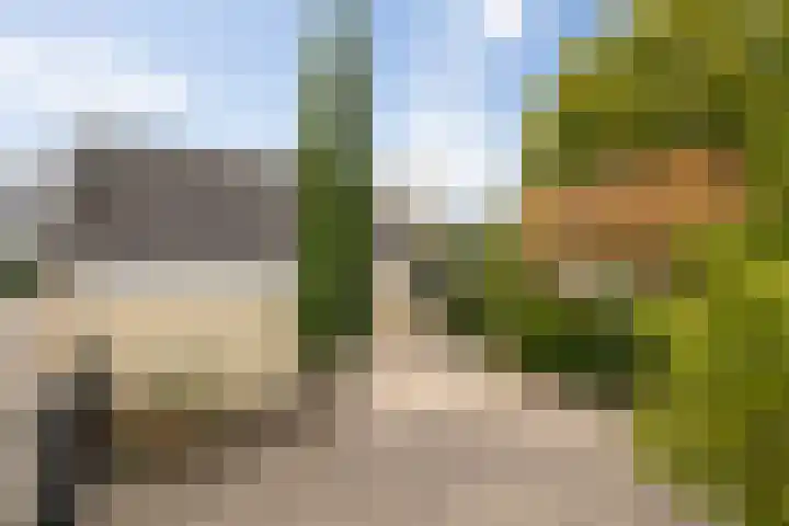 De Kruisboog 16 Boxtel thumbnail 34