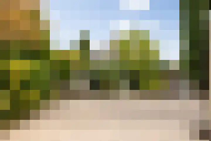 De Kruisboog 16 Boxtel thumbnail 38