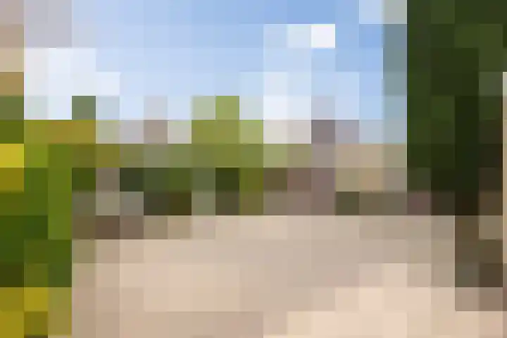 De Kruisboog 16 Boxtel thumbnail 40