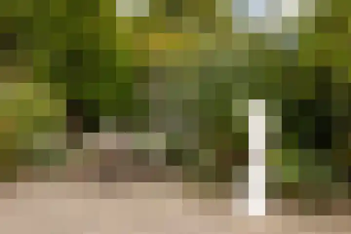 De Kruisboog 16 Boxtel thumbnail 41