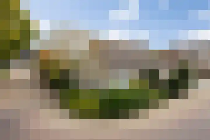 De Kruisboog 16 Boxtel thumbnail 49
