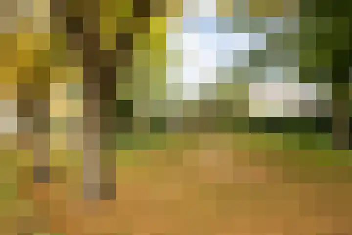 De Kruisboog 16 Boxtel thumbnail 56