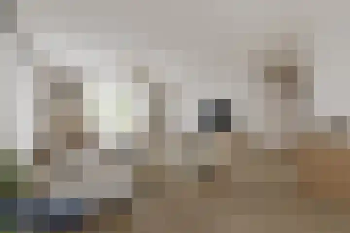 De Kruisboog 16 Boxtel thumbnail 6
