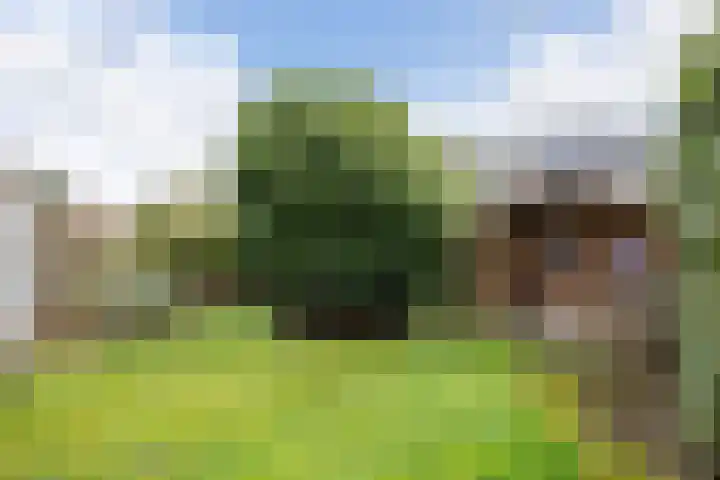 De Kruiskamp 25 Overasselt thumbnail 32