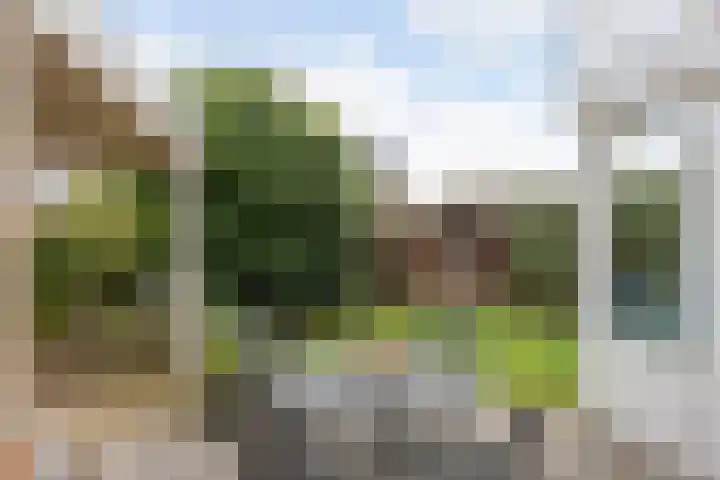 De Kruiskamp 25 Overasselt thumbnail 33