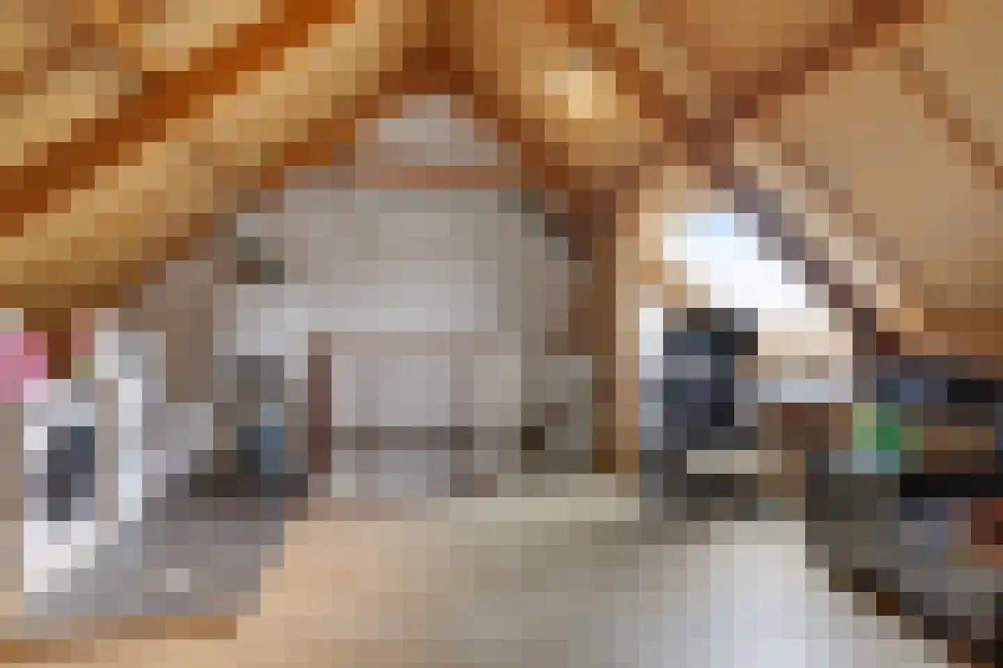 De Kruiskamp 60 Overasselt thumbnail 23