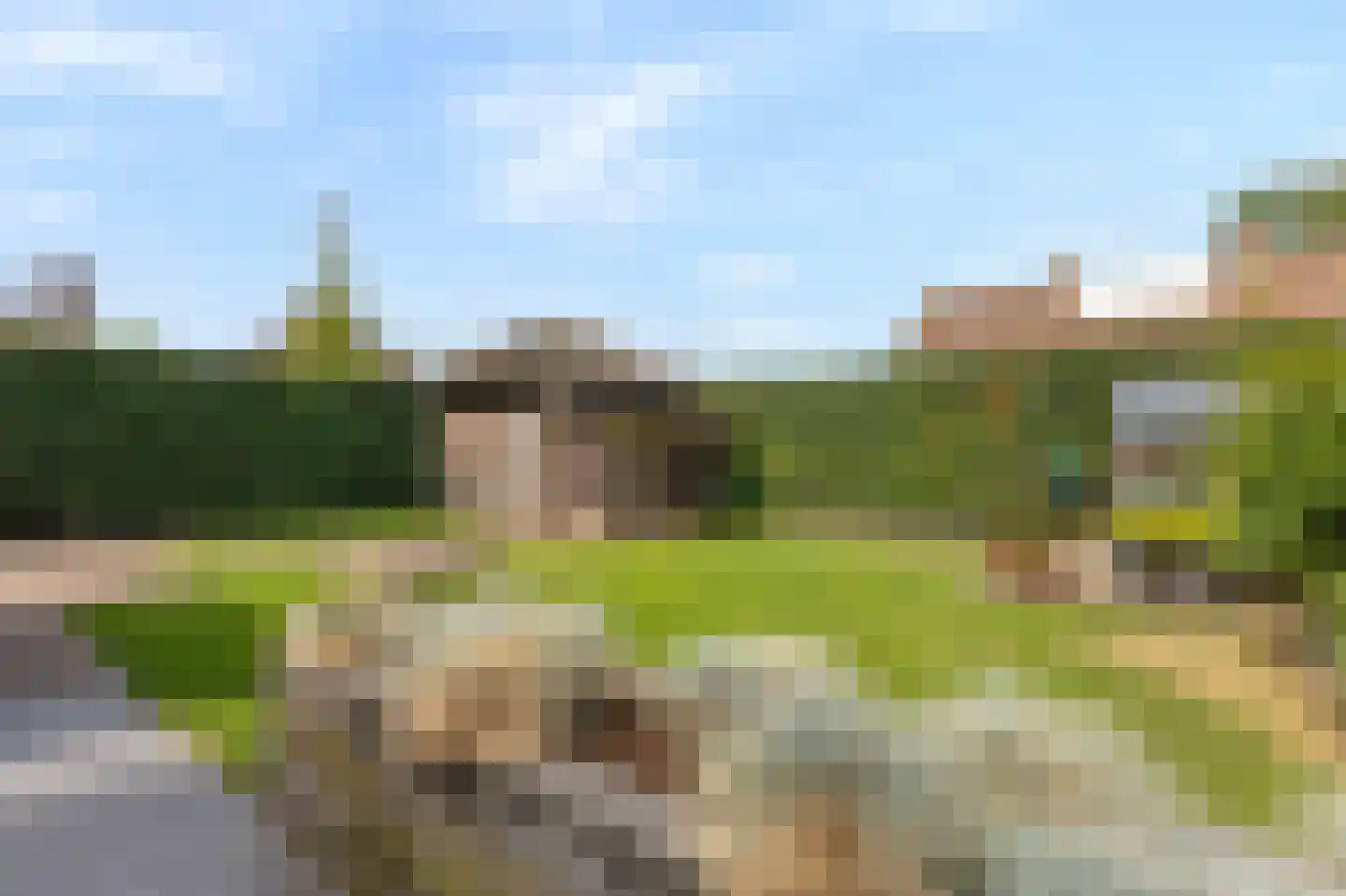 De Kruiskamp 60 Overasselt thumbnail 25