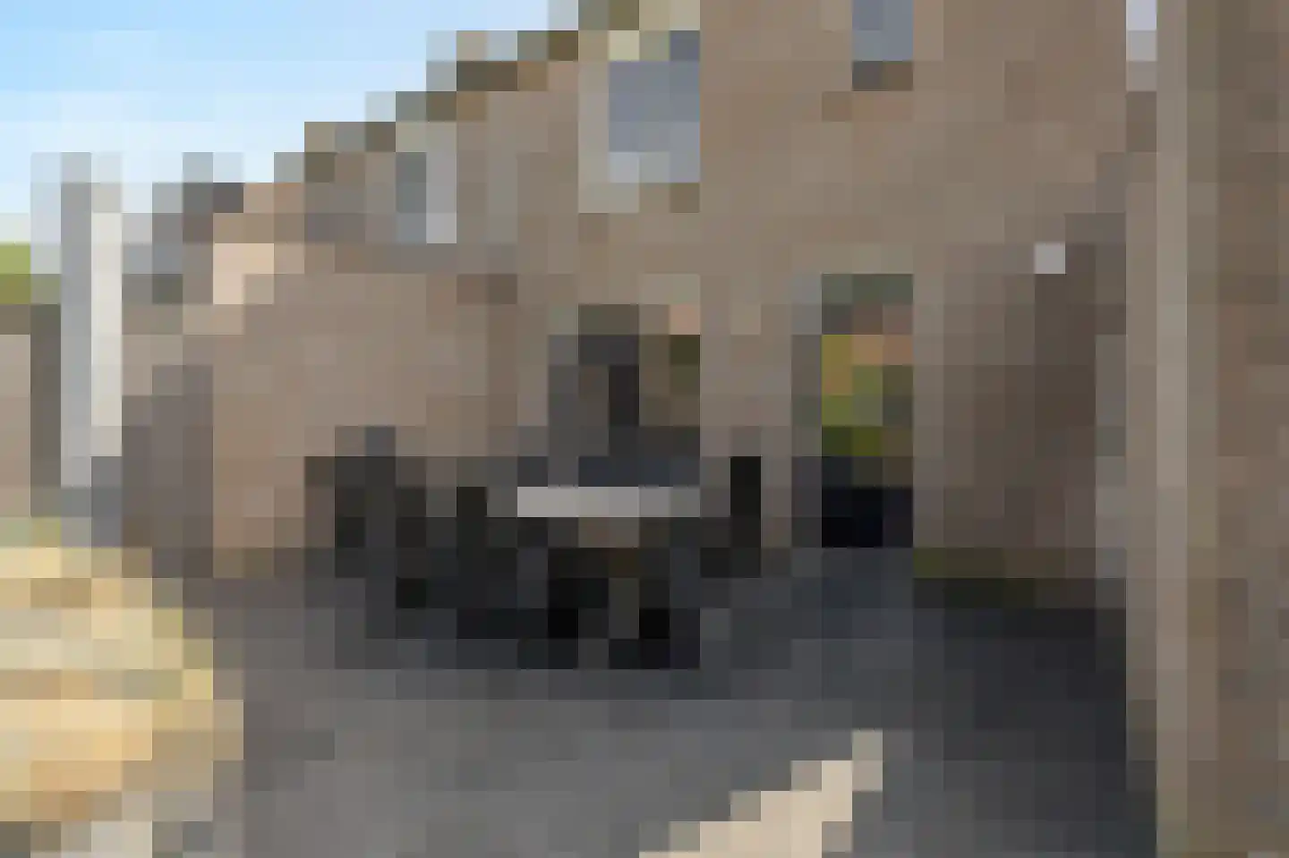 De Kruiskamp 60 Overasselt thumbnail 27