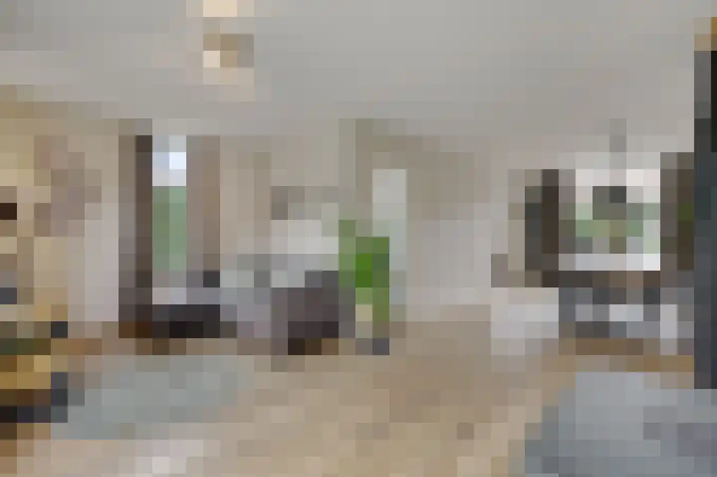 De Kruiskamp 60 Overasselt foto 3