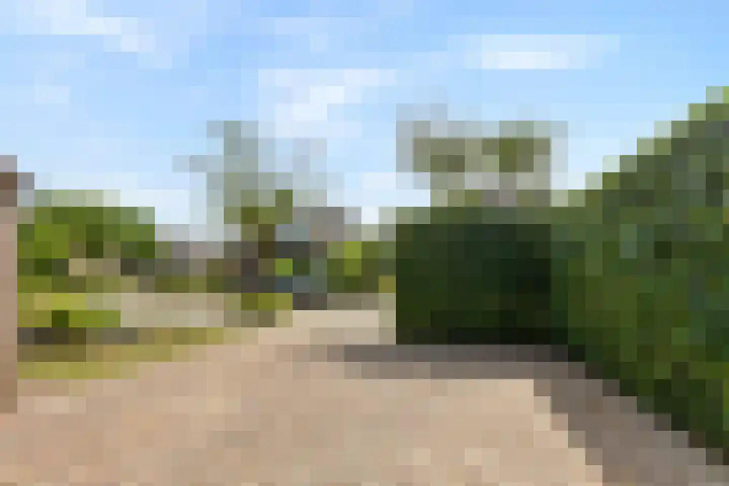 De Kruiskamp 60 Overasselt thumbnail 34