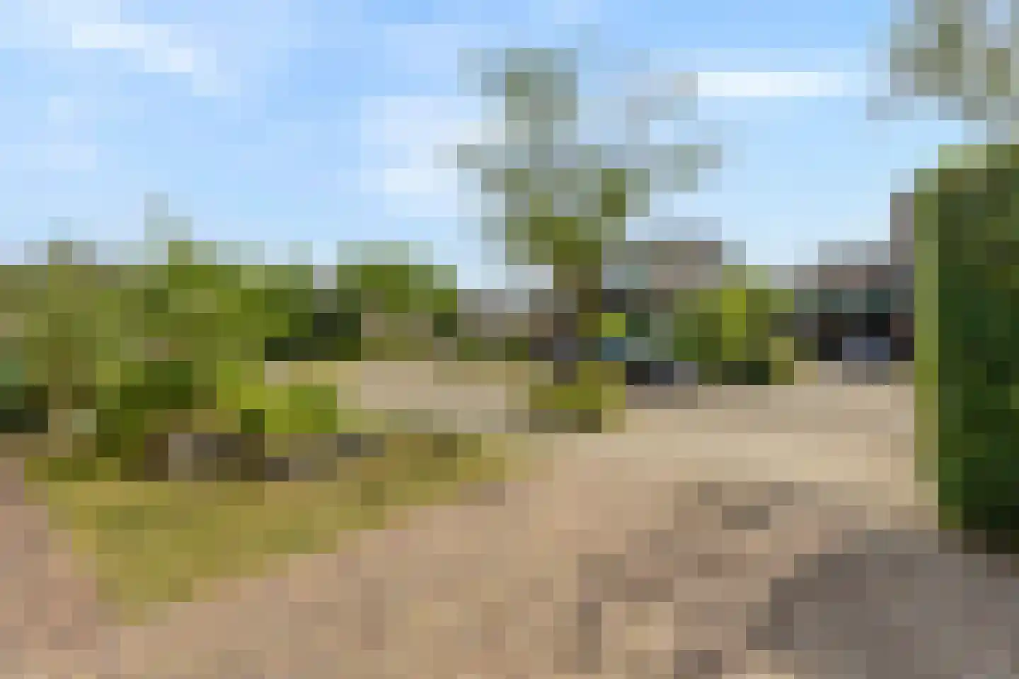 De Kruiskamp 60 Overasselt thumbnail 35