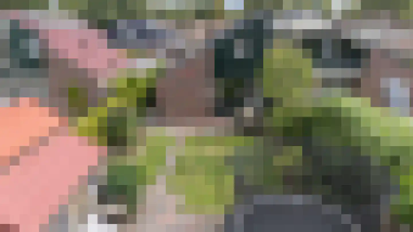 De Krumpel 6 Schoonebeek thumbnail 10
