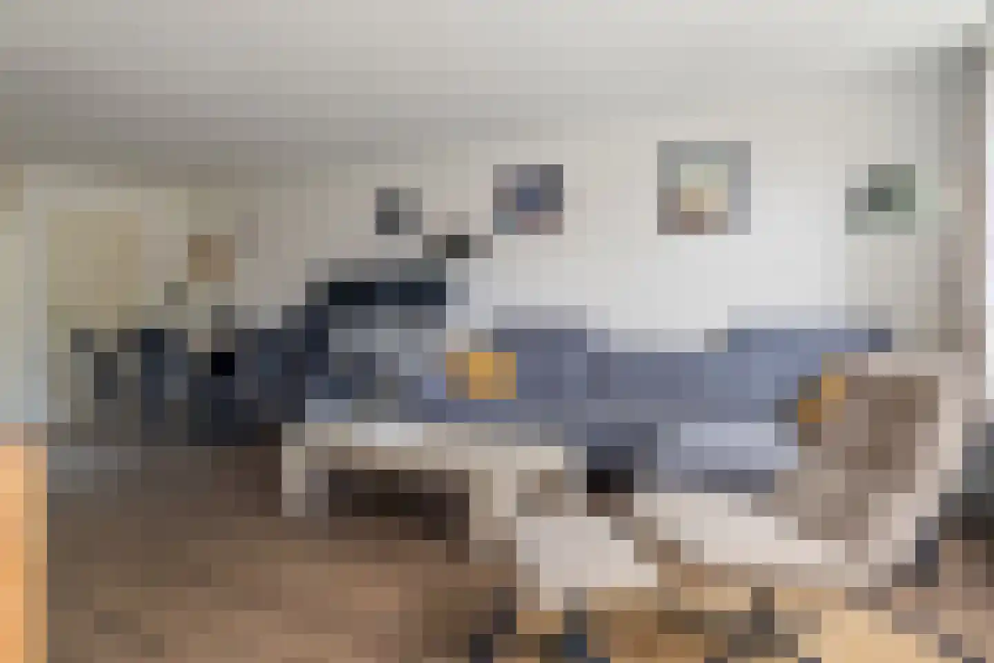 De Krumpel 6 Schoonebeek thumbnail 19