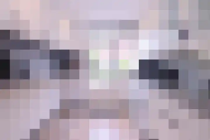 De Kubbing 15 Borger thumbnail 12
