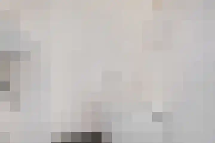 De Kubbing 15 Borger thumbnail 17