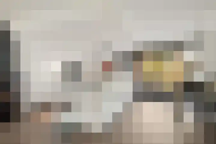 De Kubbing 15 Borger thumbnail 18