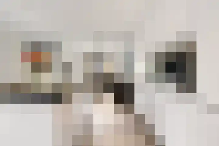 De Kubbing 15 Borger thumbnail 22