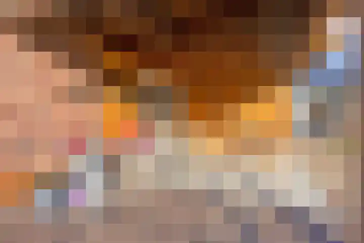 De Kubbing 15 Borger thumbnail 24