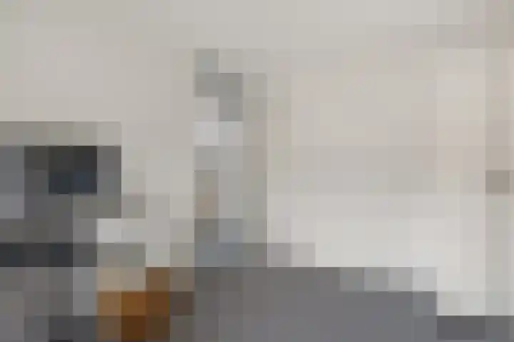 De Kubbing 15 Borger thumbnail 36