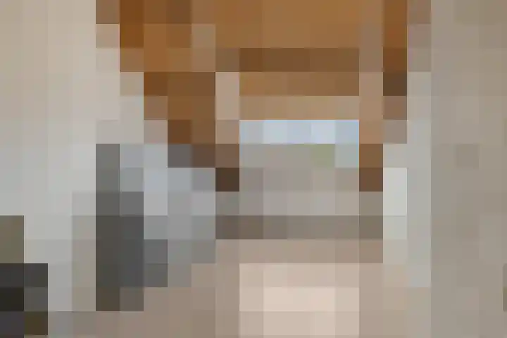 De Kubbing 15 Borger thumbnail 40