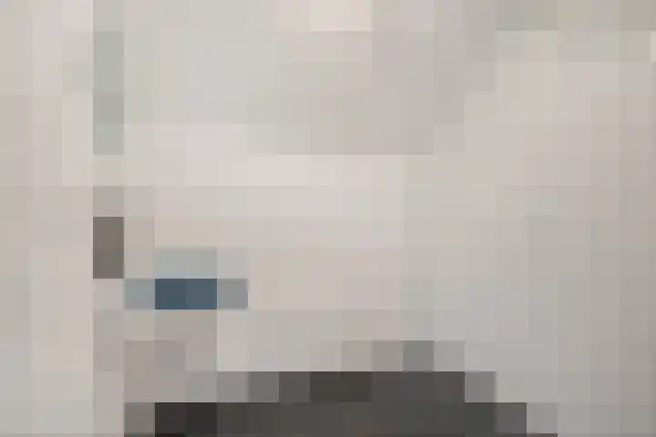 De Kubbing 15 Borger thumbnail 41