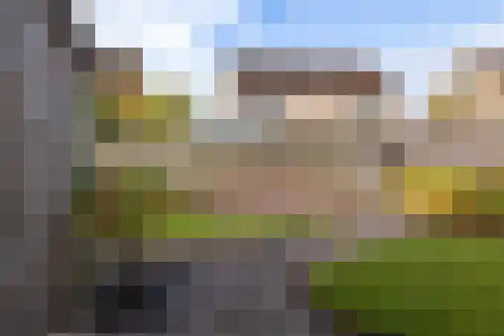 De Kubbing 15 Borger thumbnail 43