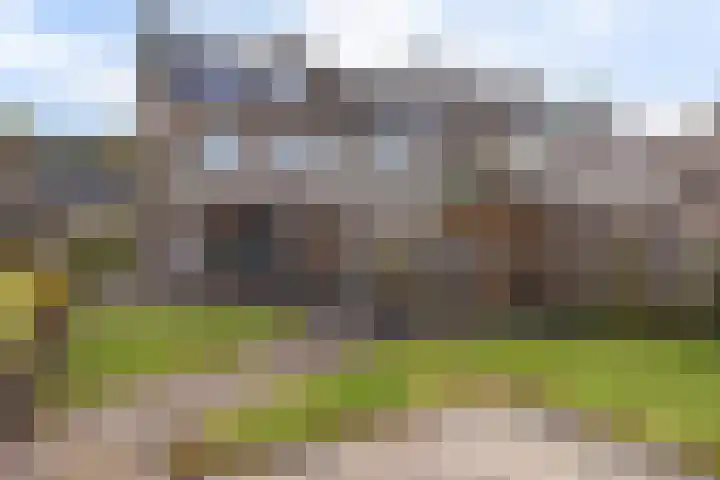De Kubbing 15 Borger thumbnail 46