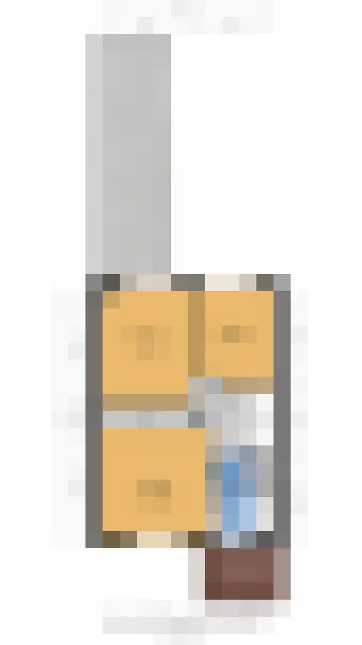 De Kubbing 15 Borger thumbnail 49