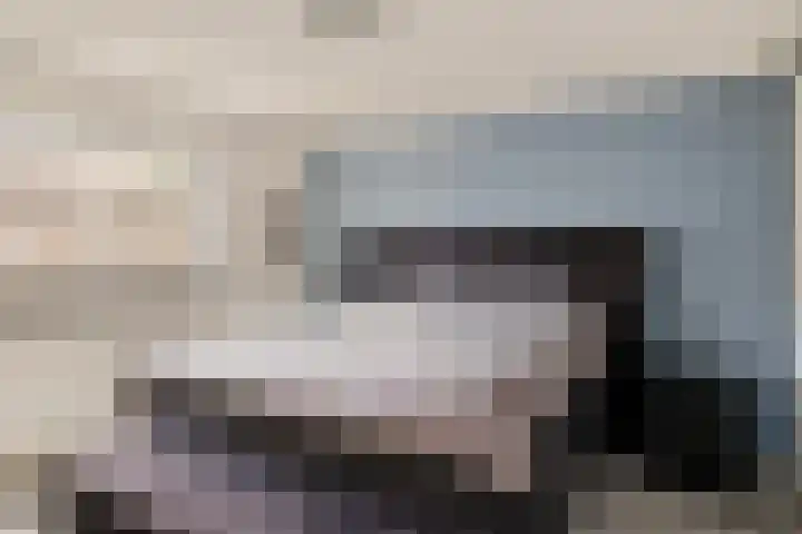 De Kubbing 15 Borger thumbnail 5