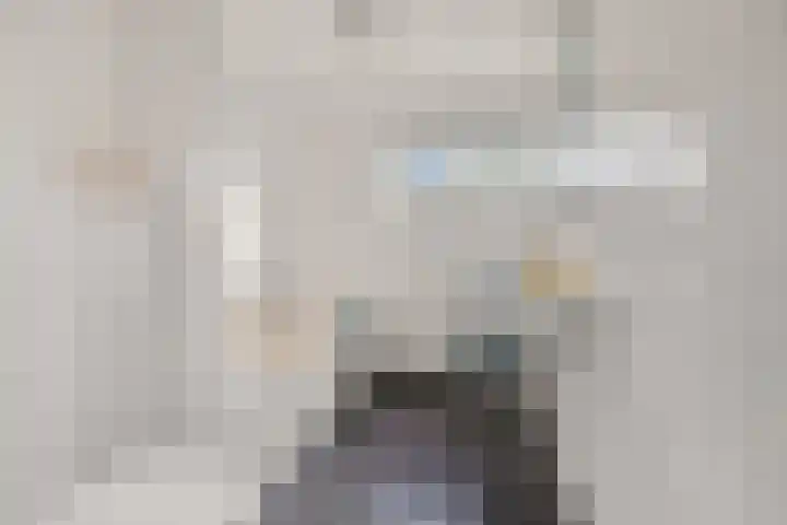 De Kubbing 15 Borger thumbnail 6