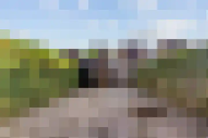 De Kubbing 15 Borger thumbnail 7