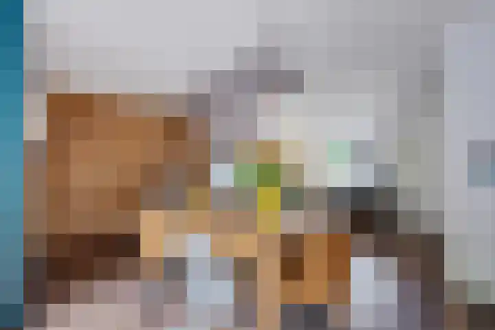 De Kubbing 30 Borger thumbnail 18