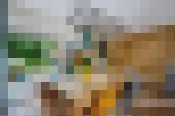 De Kubbing 30 Borger thumbnail 19